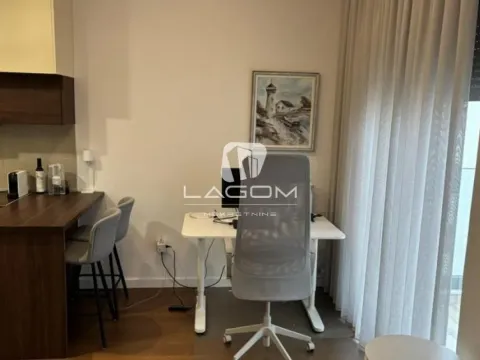 Rent, one bedroom apartment, 28m², Tošin bunar, Novi Beograd Sve Podlokacije - image 9