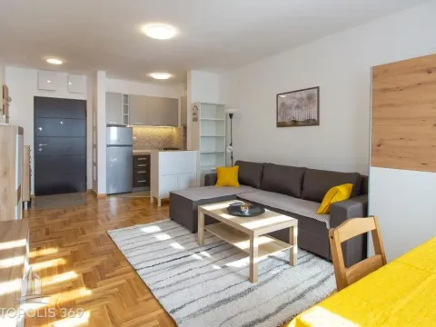 Izdavanje, dvosoban stan, 40m², Zvezdara Sve Podlokacije, Beograd - image 1