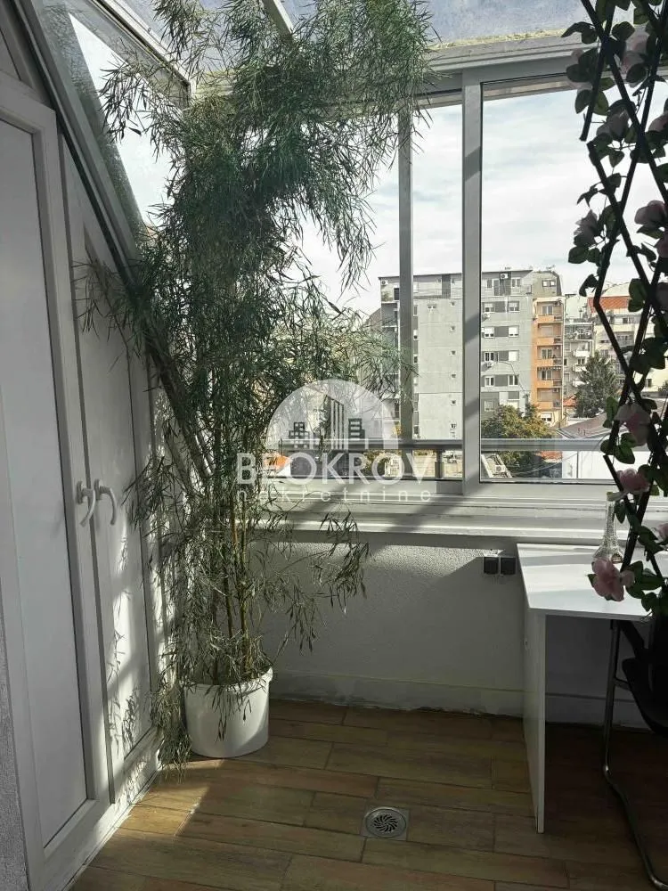 Glazed terrace with a large plant and city view.