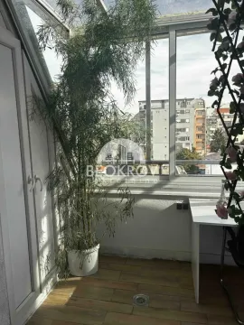 Glazed terrace with a large plant and city view. - image 17