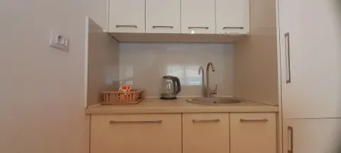 Rent, two bedroom apartment, 55m², Budva, Crna Gora - image 4