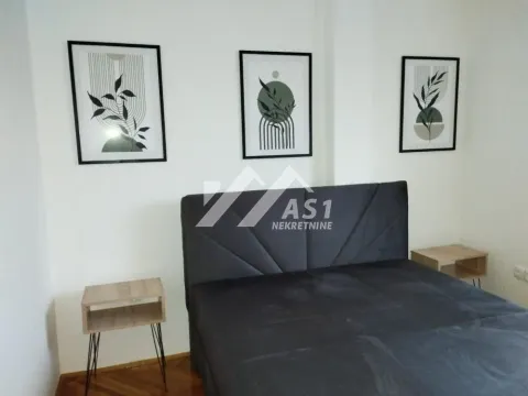 Izdavanje, dvosoban stan, 45m², Novi Sad Sve Podlokacije, Novi Sad - image 3