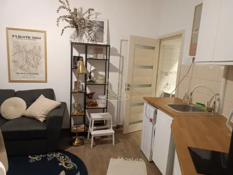 Rent, one bedroom apartment, 31m², Stari Grad, Beograd - image 6