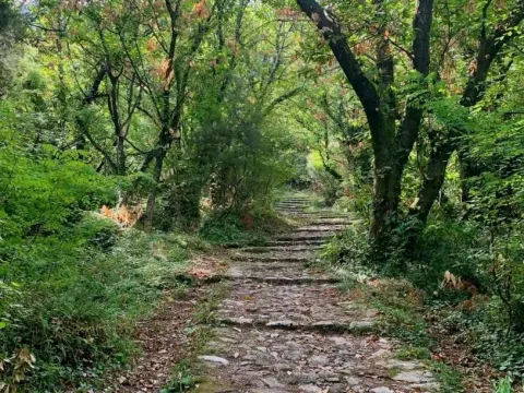 Sale, house, 186m², Stoliv, Kotor - image 11