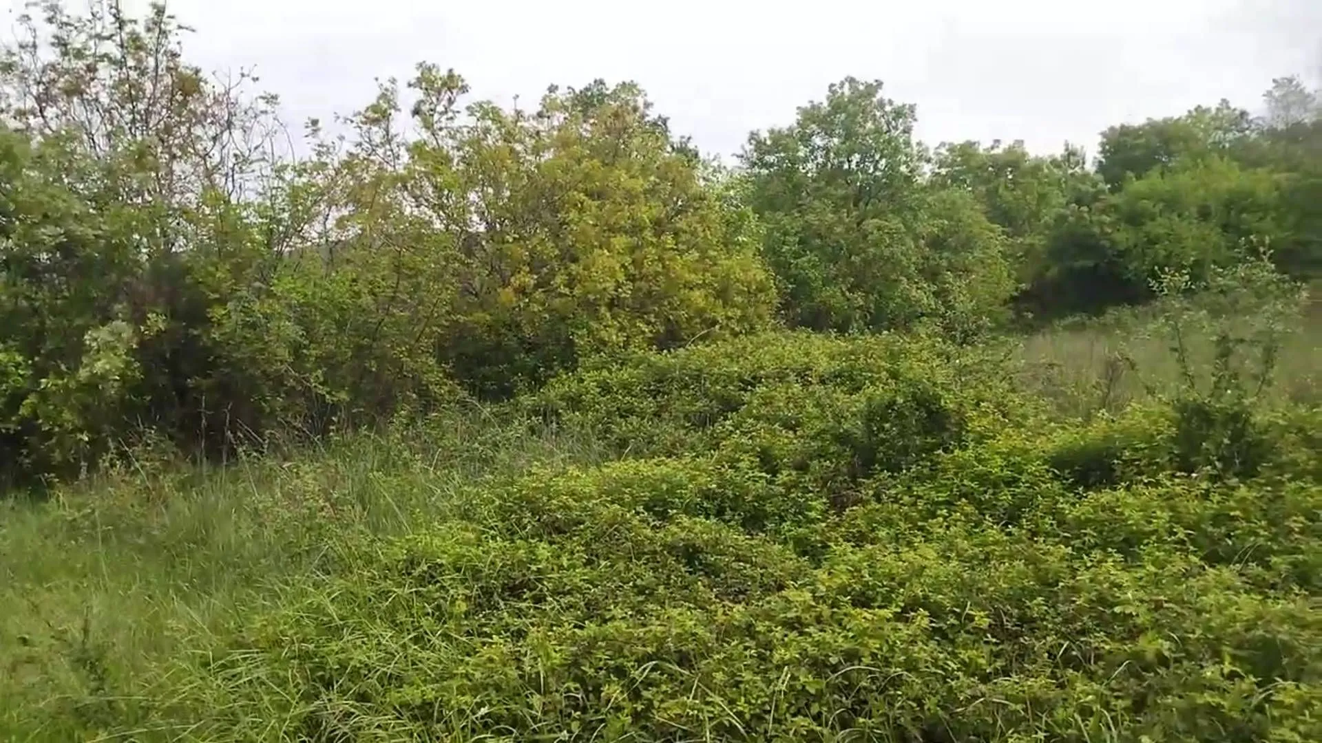 Prodaja, plac, 3493m², Barutana, Podgorica