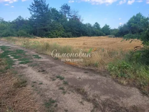 Prodaja, plac, 18100m², Krnješevci, Stara Pazova - image 4