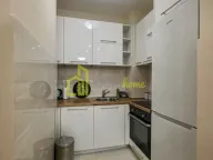 Izdavanje, jednosoban stan, 43m², Central Point, Podgorica - image 18