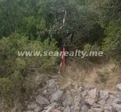 Prodaja, plac, 500m², Rose, Herceg Novi