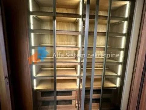 Izdavanje, stan, 350m², Južni Bulevar, Vračar Sve Podlokacije - image 28