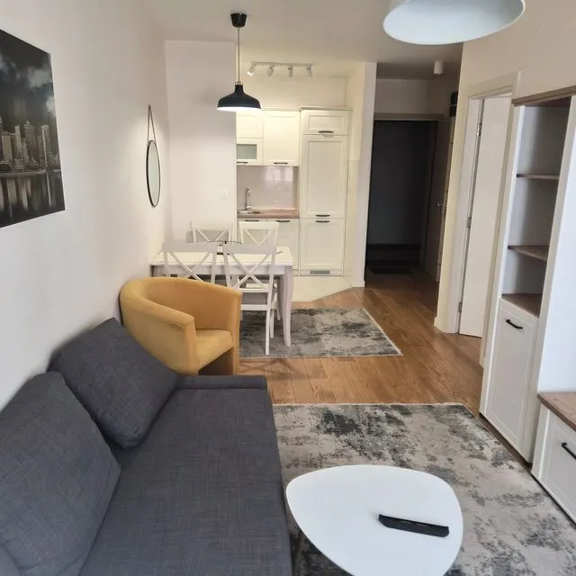 Rent, one bedroom apartment, 43m², Central Point, Podgorica