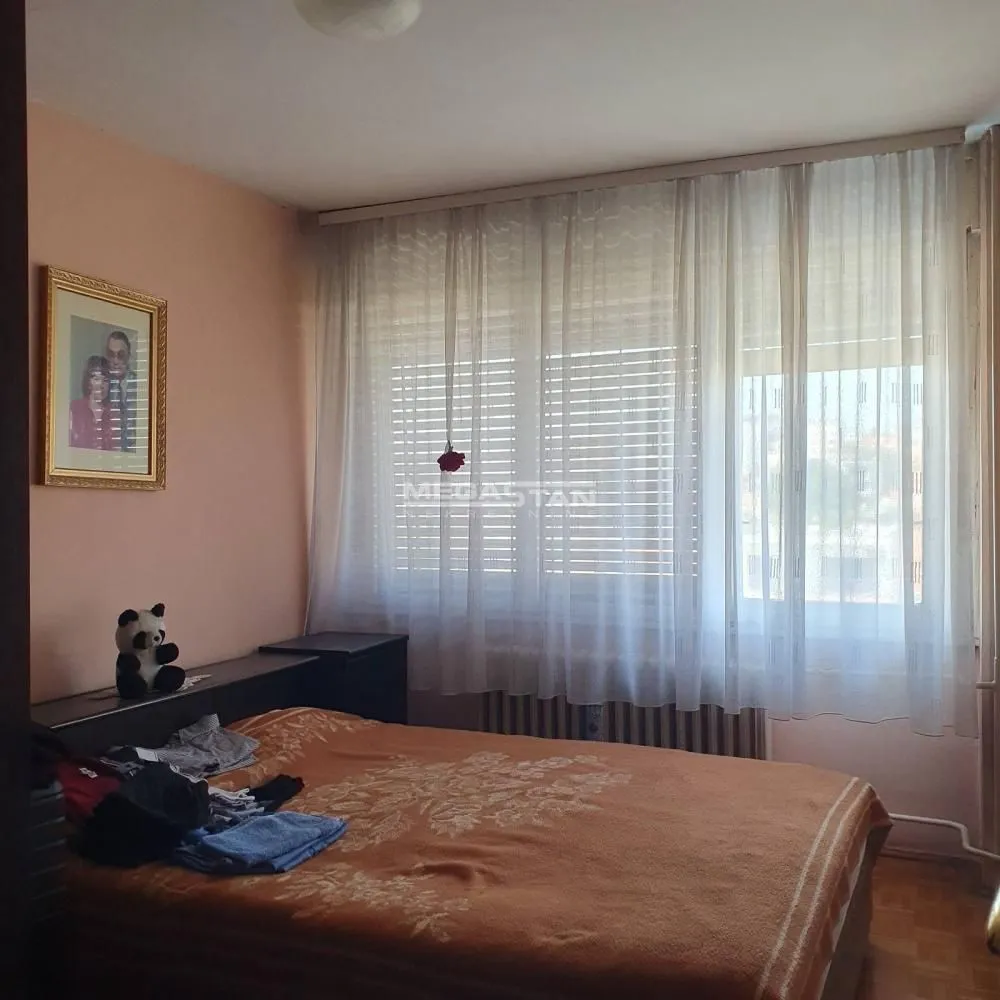 Izdavanje, dvosoban stan, 60m², Južni Bulevar, Vračar Sve Podlokacije