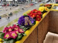 Izdavanje, dvosoban stan, 46m², Nova Detelinara, Novi Sad Sve Podlokacije - image 14