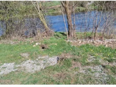 Sale, land lot, 3600m², Miločani, Nikšić - image 2