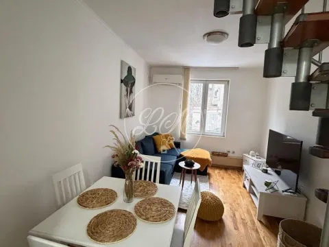 Stan in Savski Venac