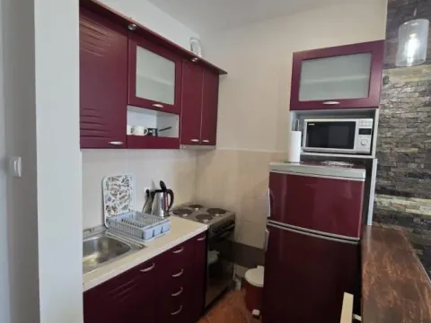 Izdavanje, jednosoban stan, 43m², Jodna Banja, Novi Sad Sve Podlokacije - image 3