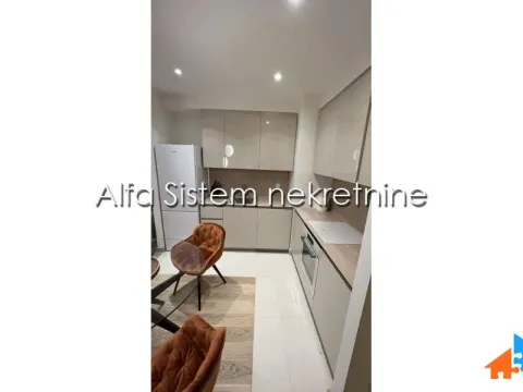 Izdavanje, dvosoban stan, 60m², Savski Venac, Beograd - image 4