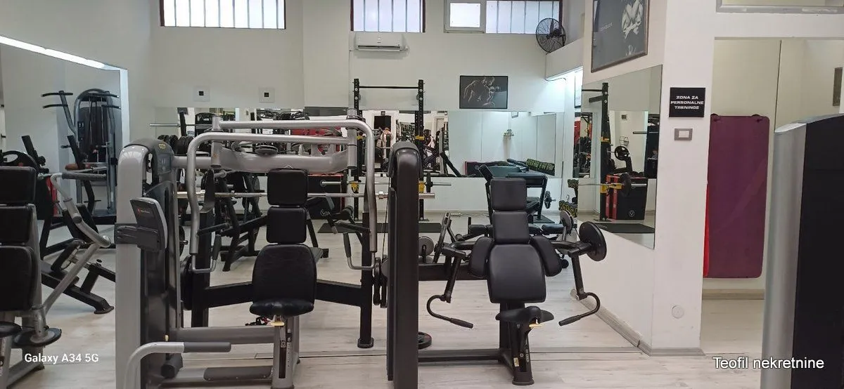Prodaja, poslovni prostor, 1000m², Vračar, Šid