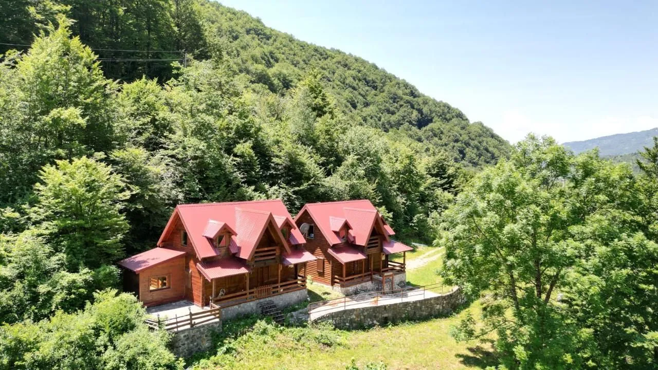 Pogled iz vazduha na drvene vikendice u prirodi okružene šumom.
