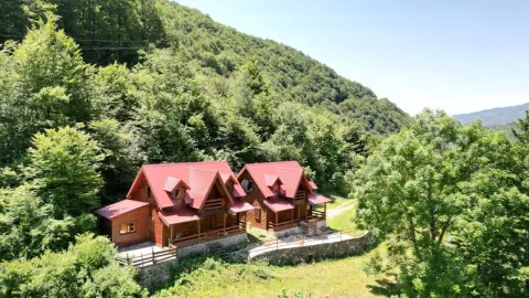 Pogled iz vazduha na drvene vikendice u prirodi okružene šumom. - image 8