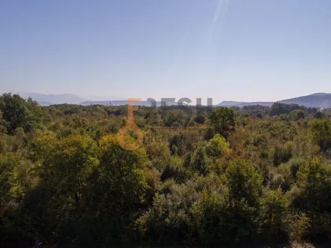 Prodaja, plac, 12000m², Danilovgrad, Crna Gora