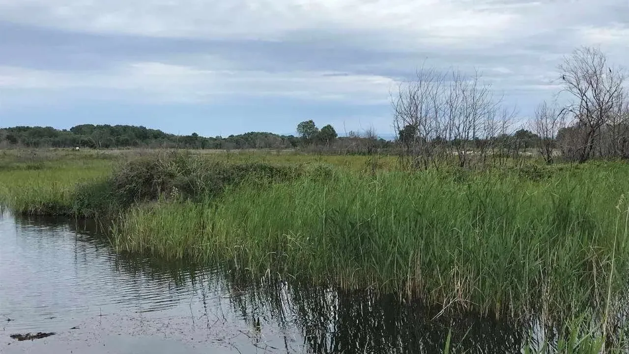 Sale, land lot, 22323m², Ulcinj, Crna Gora