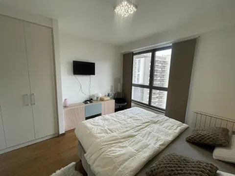 Izdavanje, dvosoban stan, 55m², Savski Venac, Beograd - image 10