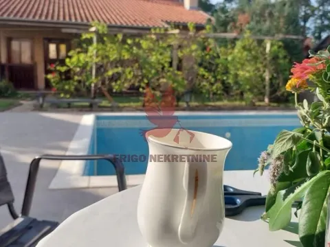 Prodaja, kuća, 1000m², Selters Banja, Mladenovac - image 13