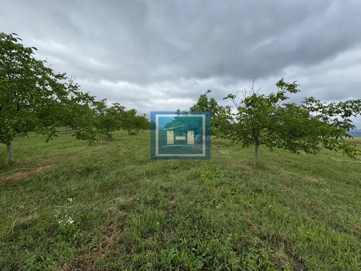 Prodaja, plac, 22800m², Stubica, Paraćin