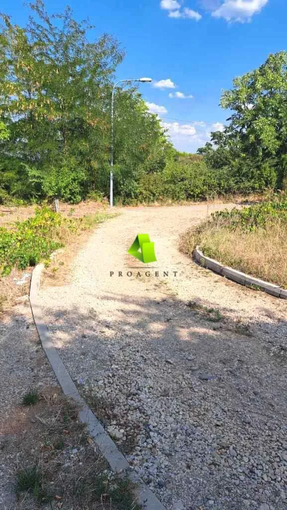 Izdavanje, poslovni prostor, 160m², Palilula, Niš