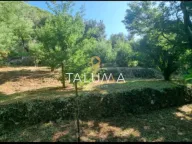 Prodaja, plac, 1658m², Kumbor, Herceg Novi - image 5