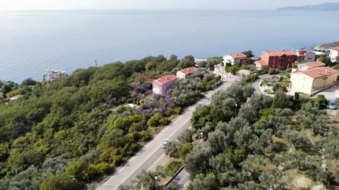Pogled iz vazduha na priobalno područje sa zelenilom, putem i kućama blizu mora. - image 3