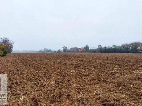 Prodaja, plac, 300m², Obrenovac, Beograd