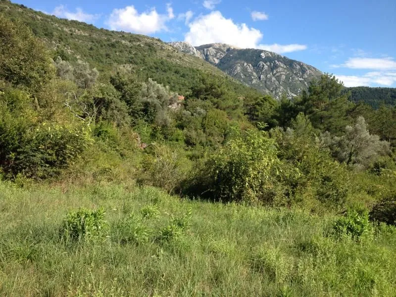 Prodaja, plac, 800m², Kavač, Kotor