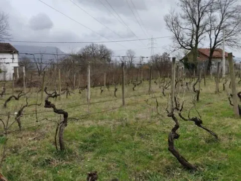 Sale, house, 74m², Donji Martinići, Danilovgrad - image 10