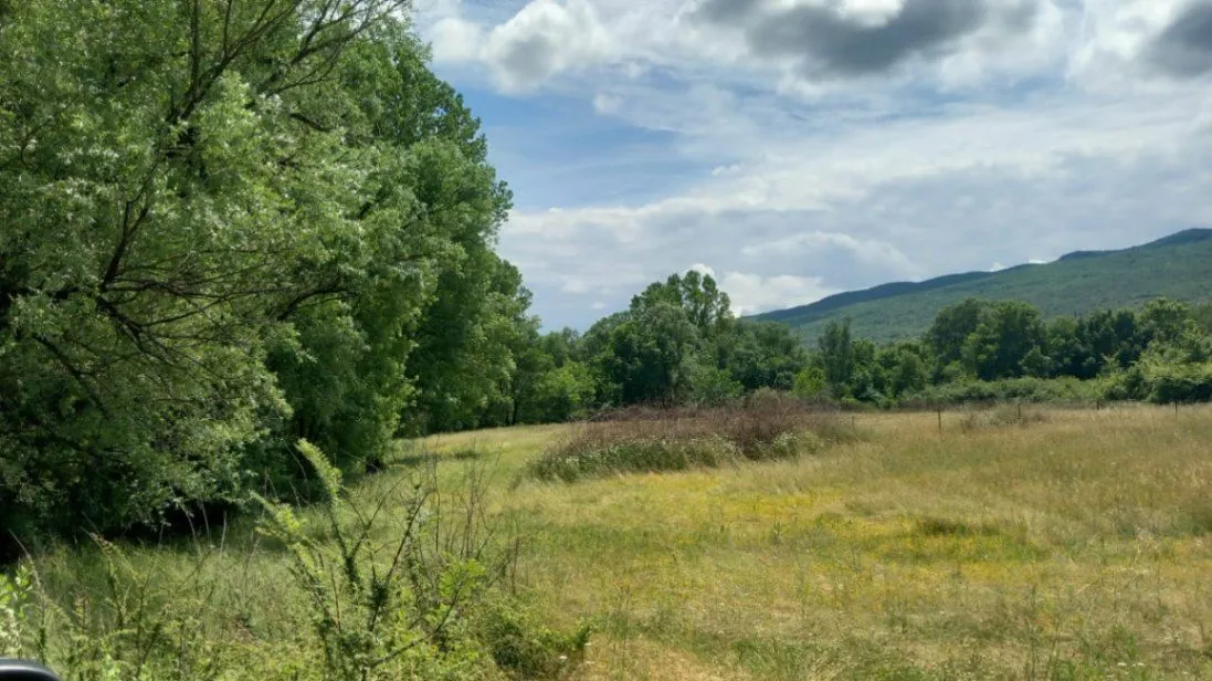 Prodaja, plac, 8500m², Bandići, Danilovgrad