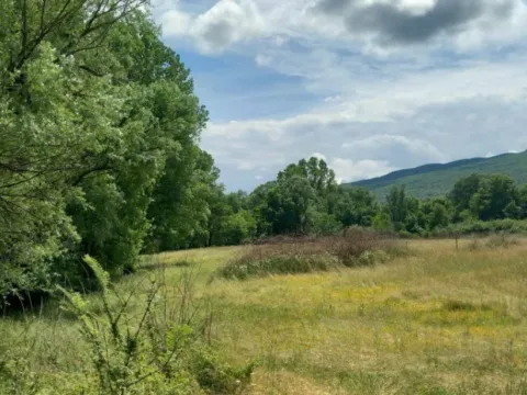 Sale, land lot, 8500m², Bandići, Danilovgrad - image 3