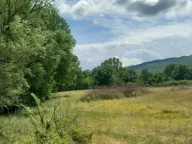 Sale, land lot, 8500m², Bandići, Danilovgrad - image 3
