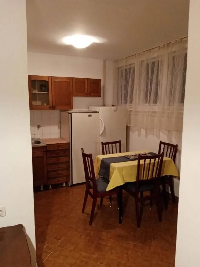 Izdavanje, dvosoban stan, 50m², Novi Beograd Blok 29, Novi Beograd Sve Podlokacije