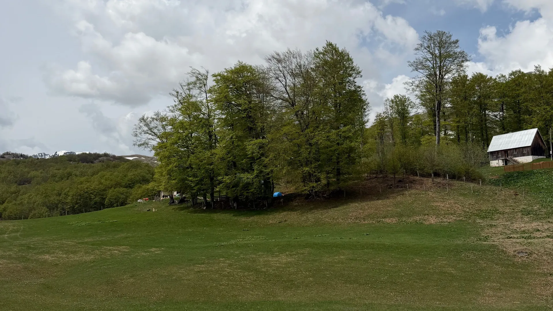 Prodaja, plac, 6075m², Pošćenski Kraj, Žabljak