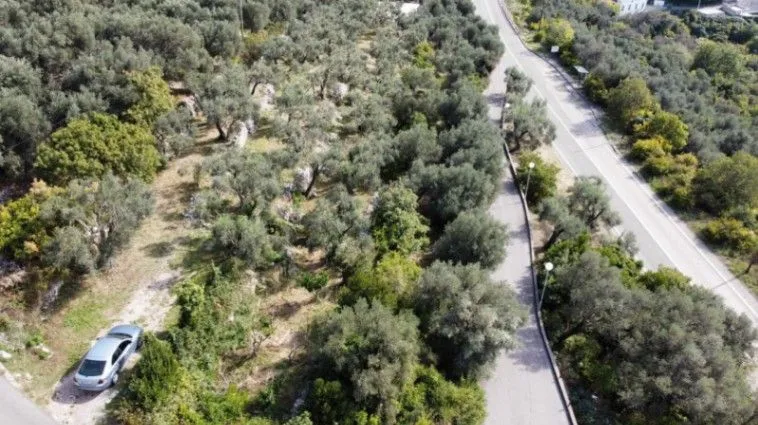 Prodaja, plac, 1700m², Reževići, Budva