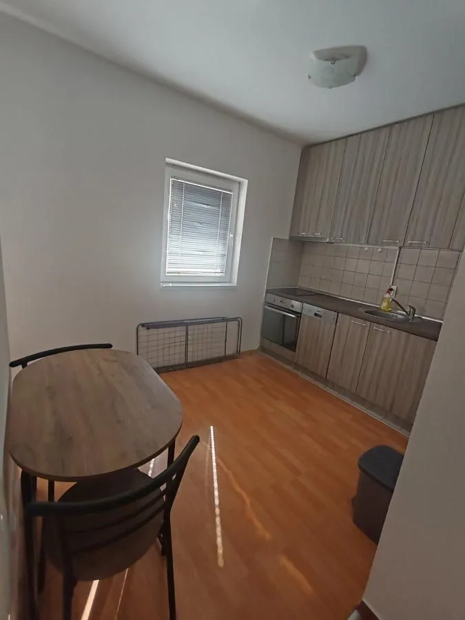 Rent, one bedroom apartment, 32m², Bulevar patrijarha Pavla, Novi Sad Sve Podlokacije