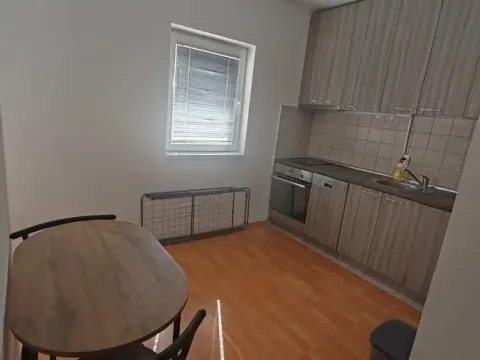 Rent, one bedroom apartment, 32m², Bulevar patrijarha Pavla, Novi Sad Sve Podlokacije - image 11