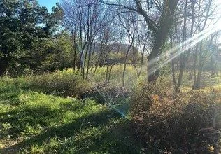 Prodaja, plac, 1423m², Buljarica, Budva