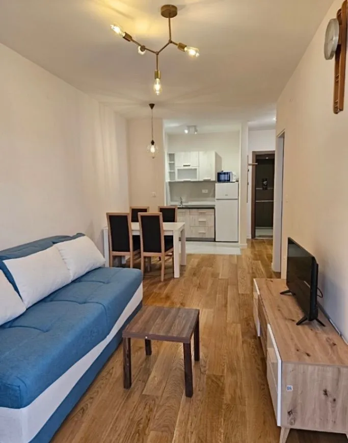 Izdavanje, jednosoban stan, 41m², Central Point, Podgorica