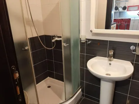 Izdavanje, dvosoban stan, 45m², Podbara, Novi Sad Sve Podlokacije - image 8