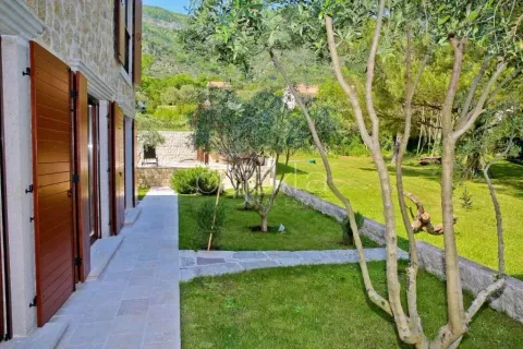 View of the landscaped courtyard with lawn, trees, and stone path in front of the house. - image 6
