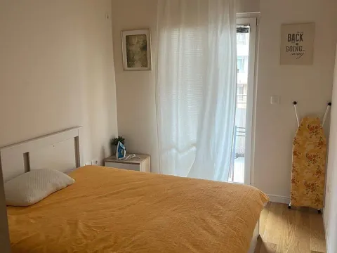 Izdavanje, jednosoban stan, 49m², Central Point, Podgorica - image 9