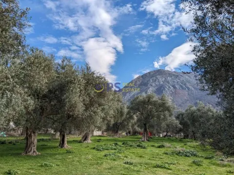 Prodaja, kuća, 267m², Bar, Crna Gora - image 3