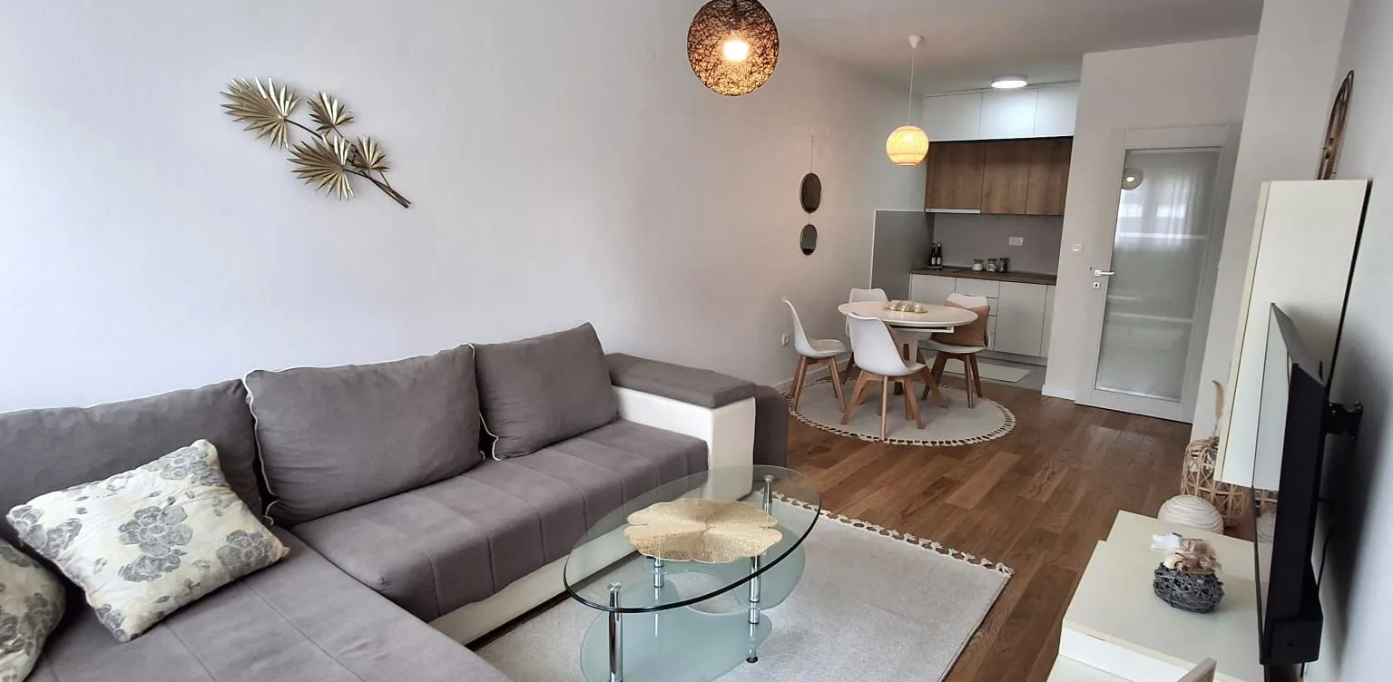 Rent, one bedroom apartment, 47m², Central Point, Podgorica