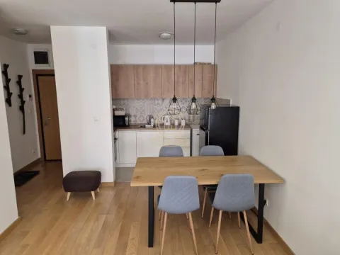 Rent, two bedroom apartment, 51m², Južni Bulevar, Vračar Sve Podlokacije - image 7